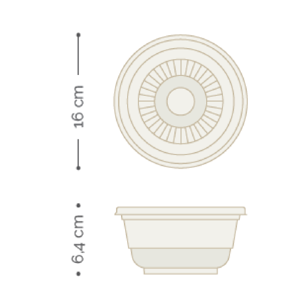 BOWL BIODEGRADABLE ECOGREEN HONDO + TAPA 32 OZ X10 UNDS NATURAL DEGW-10 - Image 2