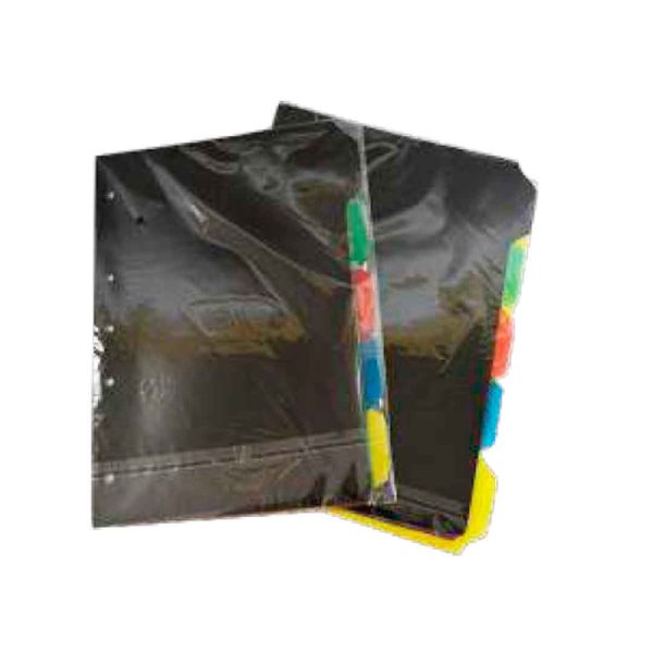 SEPARADOR CARTA PLASTICO X 5 UNDS