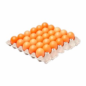 HUEVO X30 UNDS AA ROJO